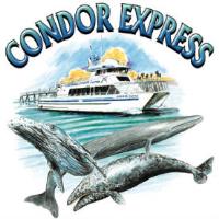 Condor Express Whale Watching image 1