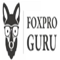 FoxPro Guru image 1