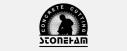 Stoneham Concrete Cutting logo