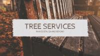 Augusta Pro Tree Services image 5