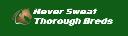 Neversweat Thoroughbreds logo