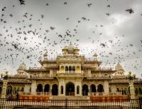 Globetrouper-Best Travel Agent in Jaipur image 9