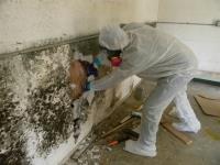 Loganville Mold Removal image 2