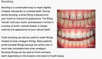 Landmark Dentistry - Wesley Chapel image 2