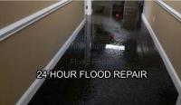 SuperBest Water Damage & Flood Repair SD image 2