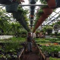 Leisuretime Greenhouses image 2