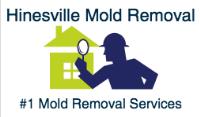 Hinesville Mold Removal image 1