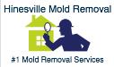 Hinesville Mold Removal logo