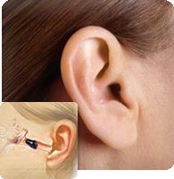 Welsch Hearing Aid Co image 3