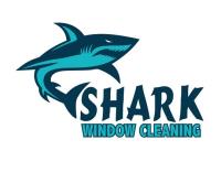 Shark Window Cleaning image 1