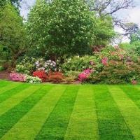 Whites Lawn Services & Landscaping image 3