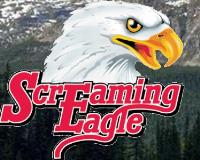 Screaming Eagle Promotions image 1
