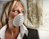 Preferred Environmental Solutions, Inc. image 1