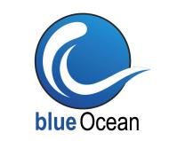 BlueOcean SEO Agency image 1