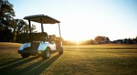 Mr Golf Carts image 4
