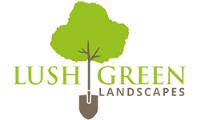 Lush Green Landscapes image 2