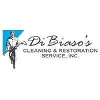 Dibiaso's Cleaning and Restoration Services image 1