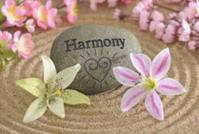 Harmony Thai Massage Houston image 2