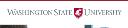 Washington State Online MBA Program logo