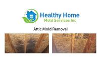 Healthy Home Mold Services Inc image 1