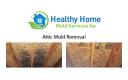Healthy Home Mold Services Inc logo
