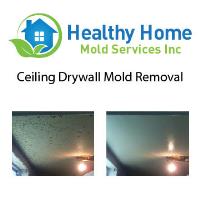 Healthy Home Mold Services Inc image 3