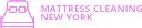 Mattress Cleaning NY logo