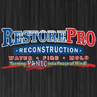 RestorePro Reconstruction image 1