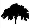 Elm Tree Service Cincinnati logo