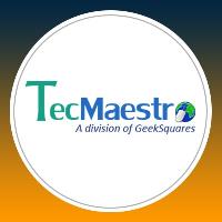 TecMaestro IT Services image 1