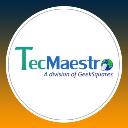 TecMaestro IT Services logo