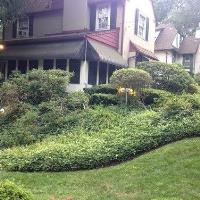 ASV Landscaping Design and Home Improvement LLC image 1