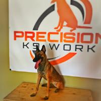 Precision K9 Work - Austin Dog Training image 3