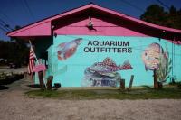 Aquarium Outfitters Carolina image 1