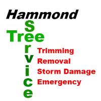 Hammond Tree Service image 2