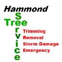 Hammond Tree Service logo