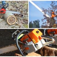 Fort Worth Juan's Tree Service image 1