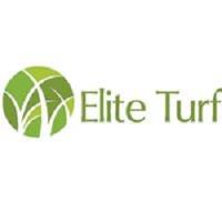 Elite Turf image 1