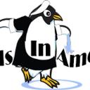 Maids In America logo