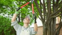 Golden State Tree Service image 2