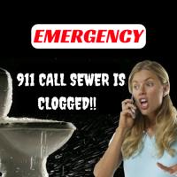Pro Sewer SVC image 3