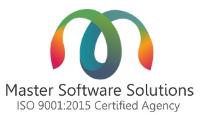 Master Software Solutions image 1