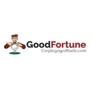 Good Fortune, Inc image 1
