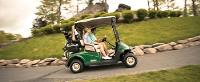 Elite Golf Carts image 2