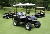 Elite Golf Carts image 3