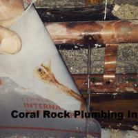 Coral Rock Plumbing Inc. image 2