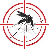 Mosquito Man USA image 1