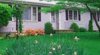 GreenWorks - Tree  Shrub  and Lawn Experts image 3