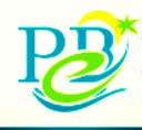 Palm Beach Escapes Vacation Rentals logo