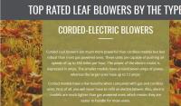 Leaf Blower Expert image 4